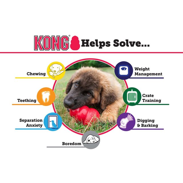 Kong Puppy Small