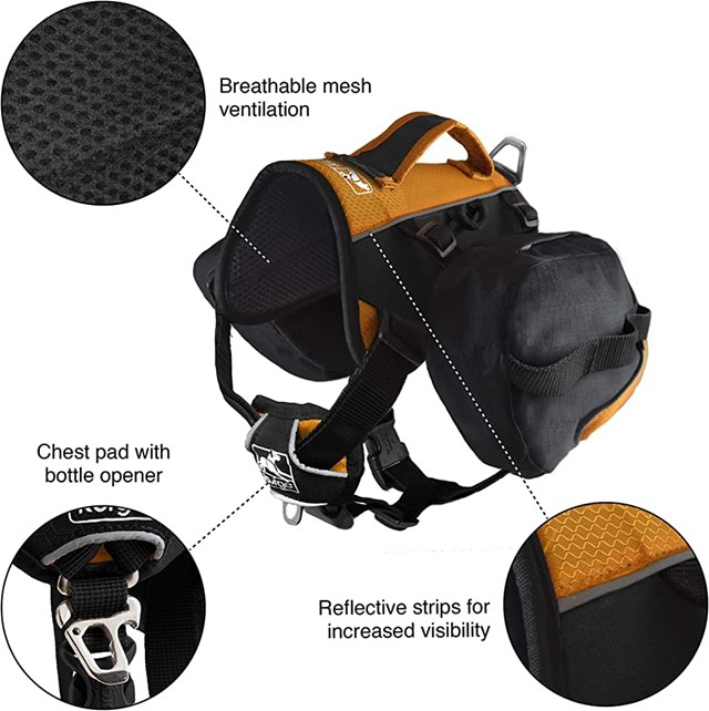 Kurgo Baxter Backpack - Black / Orange