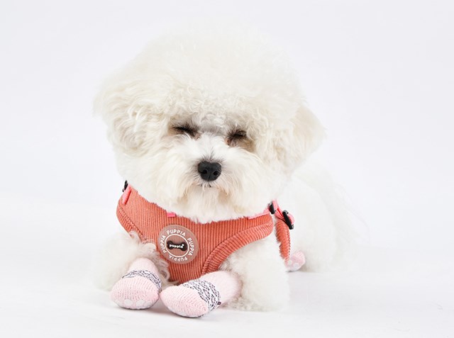 Leone Indian Pink - Hundesokker