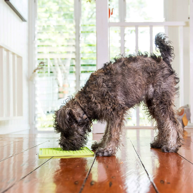 Lickimat Buddy Grön ink Trixie lammpaté Kit