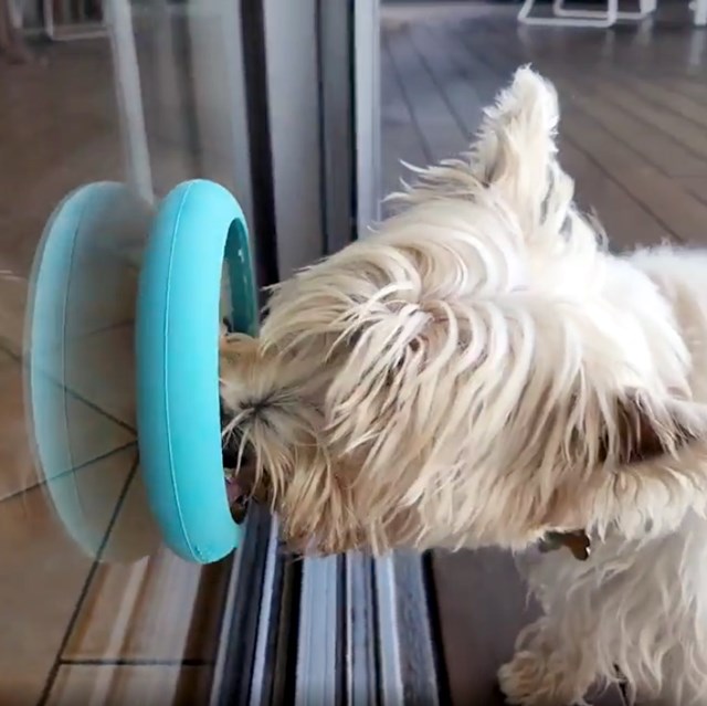 LickiMat Ufo Hundeskål - Grønn