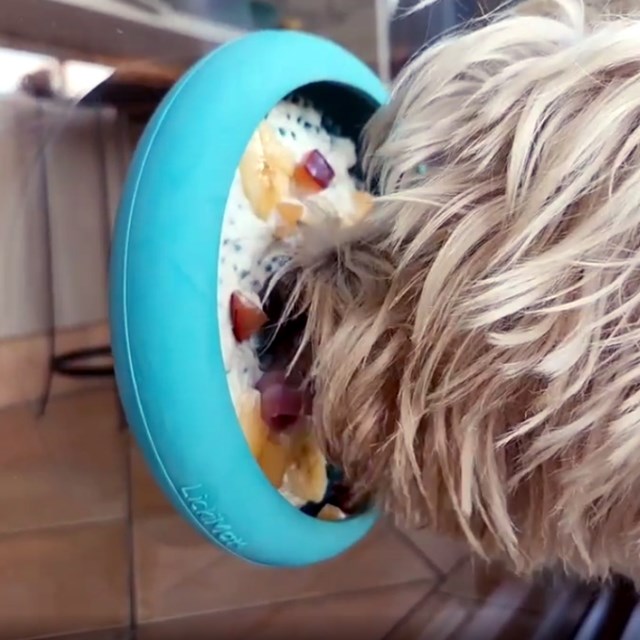 LickiMat Ufo Hundeskål - Grønn