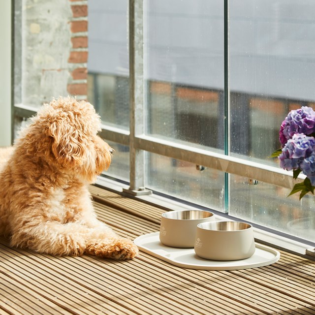 Libra Matskålunderlag - Coffe Cream