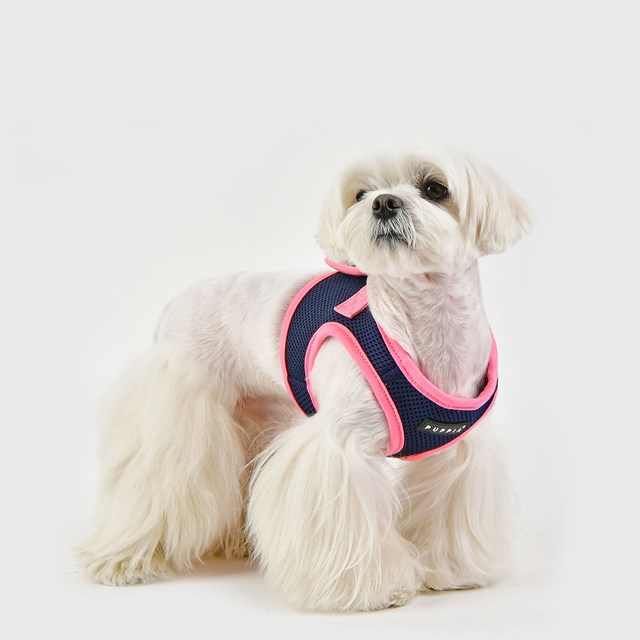 Soft Vest II Navy - Hundesele
