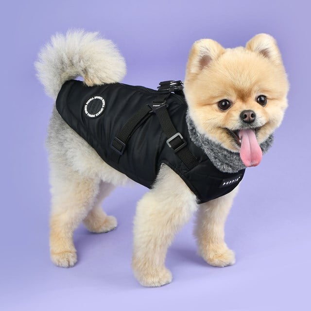 DONAVAN BLACK - DOG JACKET