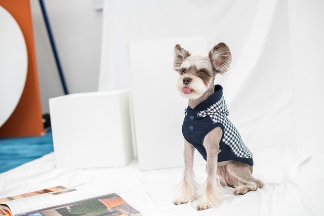Collette - Navy