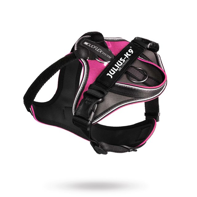 K9 IDC Longwalk Pink/Grey