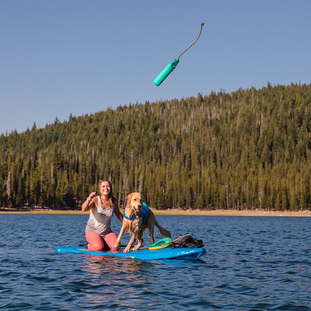 Lunker Flytende Kasteleke - Aurora Teal