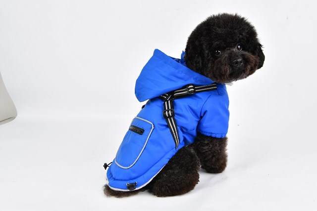 Mallory Royal Blue - Hundedekken med Integrert Sele