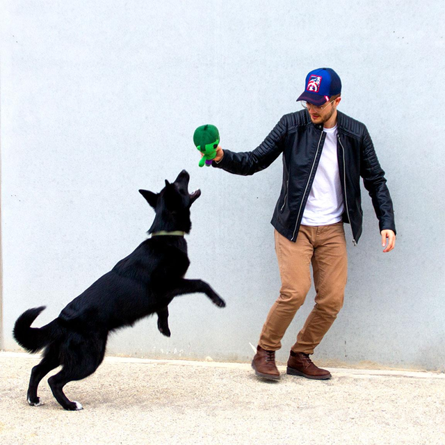 MARVEL Hulk - Myk hundeleke