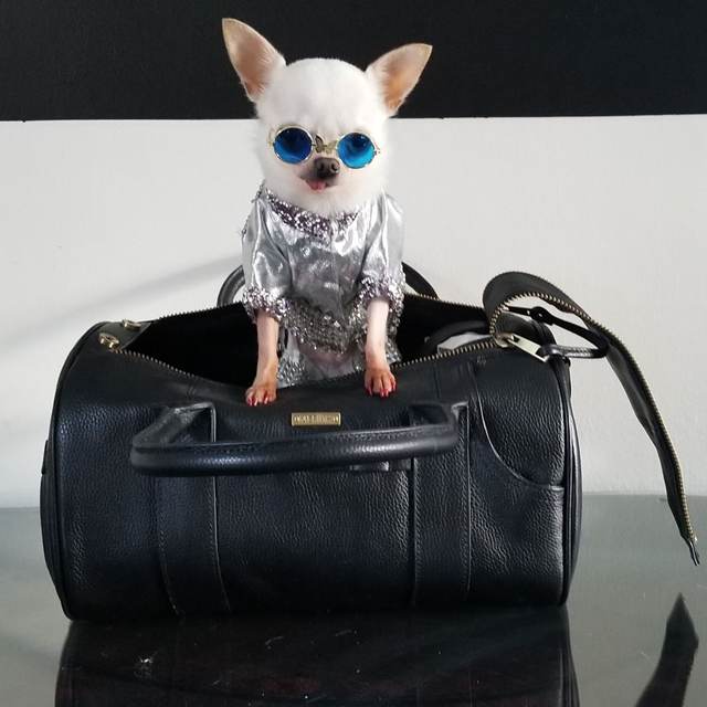 MERÏKH Hundeveske Lær – Svart