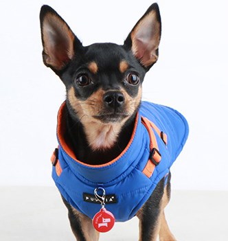 Mountaineer II Blue - Fôret Hundedekken med Integrert Sele