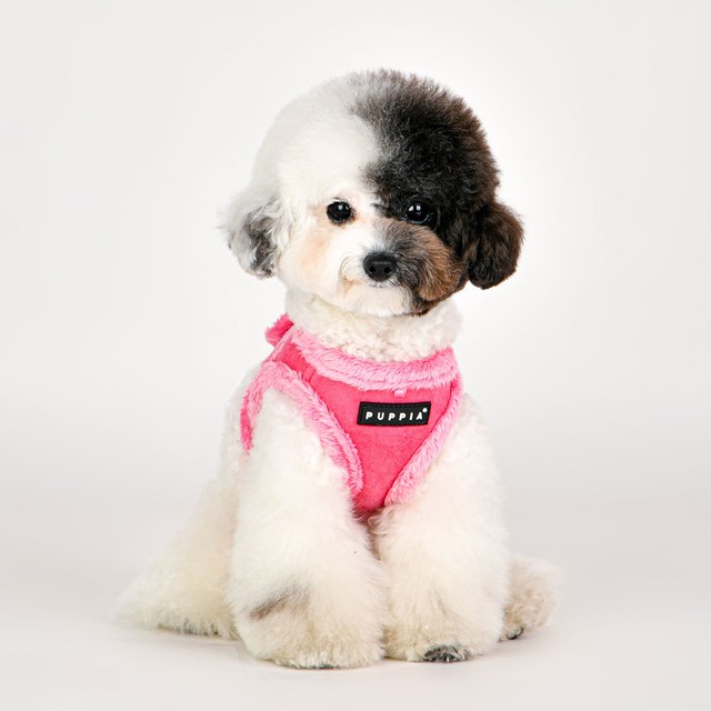 TERRY PINK - Fôret Jacket Hundesele
