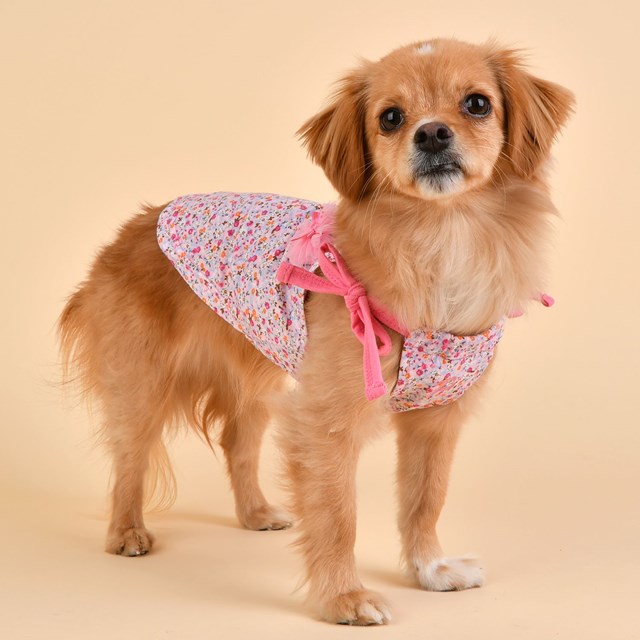 Wildflower Hundegenser - Rosa