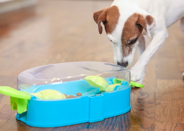 Nina Ottosson Paw N Play Aktiveringsleke