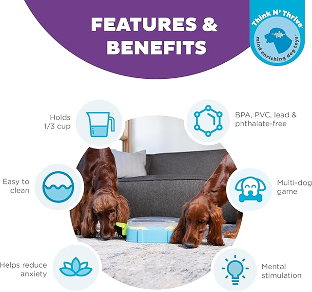 Nina Ottosson Paw N Play Aktiveringsleke