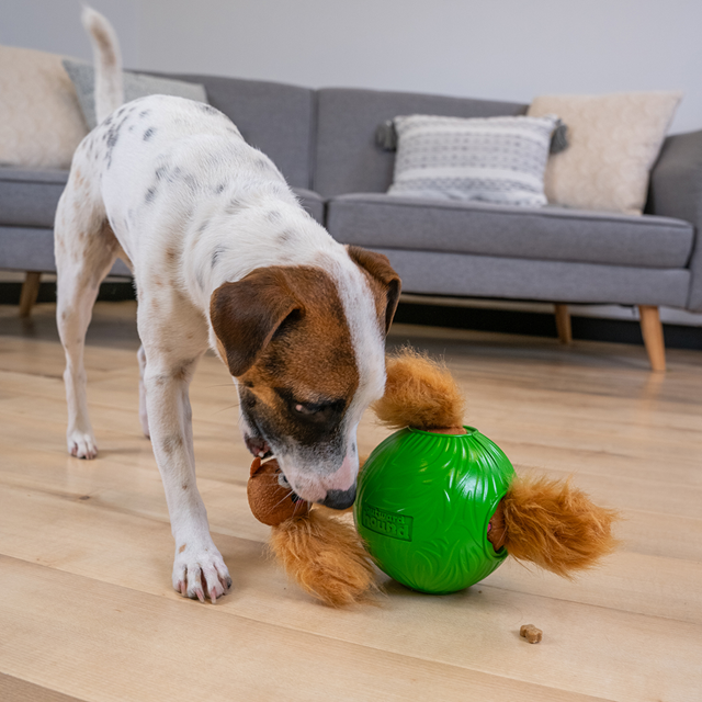 Nina Ottosson Snuffle N Treat Ball Aktiveringsleke - Small