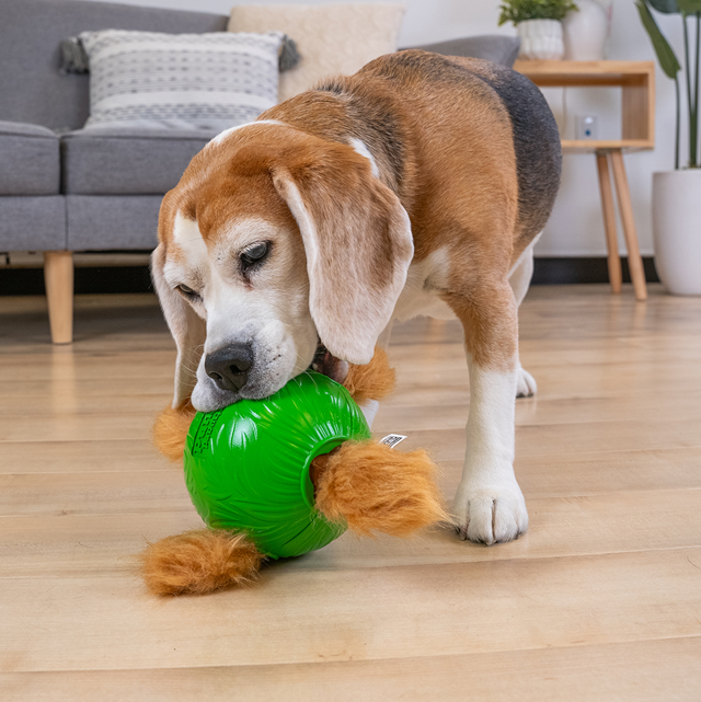 Nina Ottosson Snuffle N Treat Ball Aktiveringsleke - Small