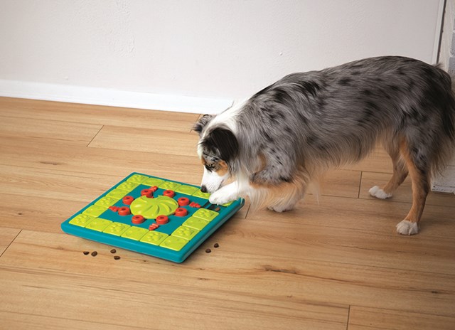 Nina Ottosson MULTIPUZZLE - DOG PUZZLE GAME