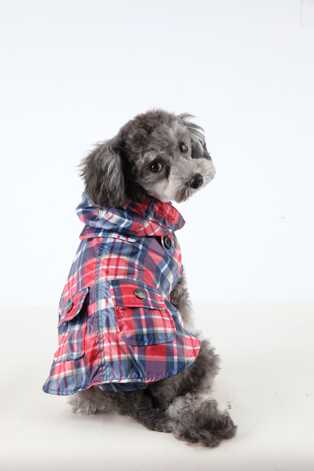 Barrington Navy - Regndekken