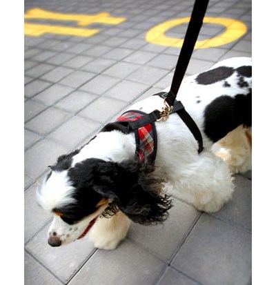 Checky Comfy Red - Sele og Kobbel