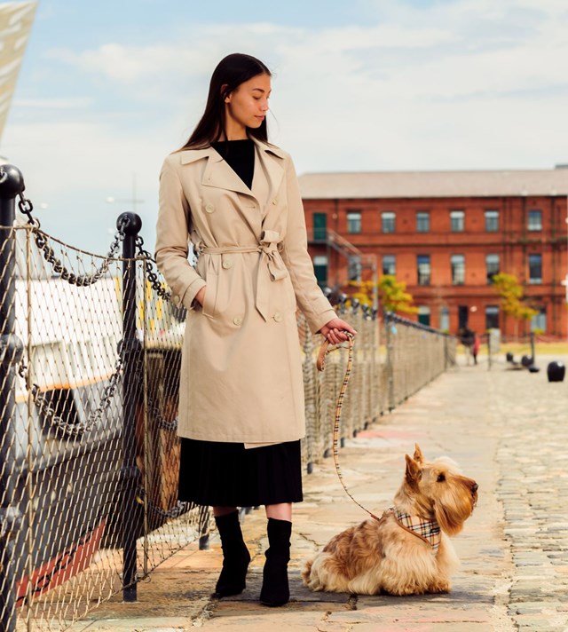 Brown Tartan Hundesele