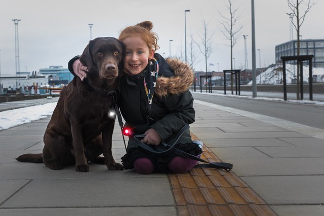 Twin Dual Safety Light