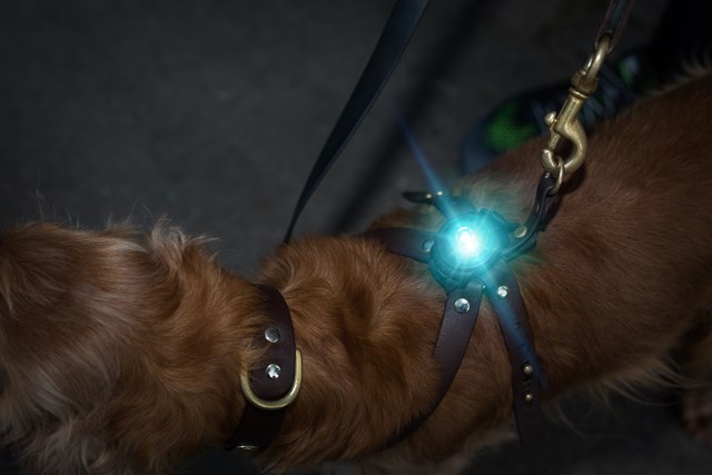 Orbiloc Safety Light Turkis