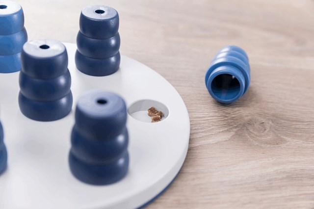 Dog Activity Mini Solitaire