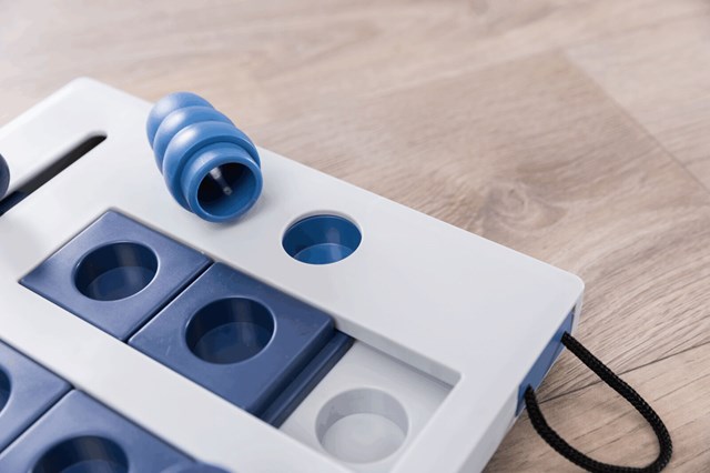 Dog Activity Mini Mover