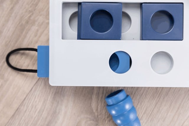 Dog Activity Mini Mover