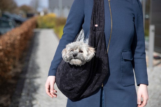 Soft Dog Carrier