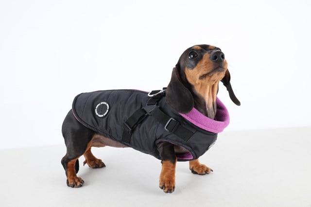 Mountaineer II Black - Fôret Hundedekken med Integrert Sele