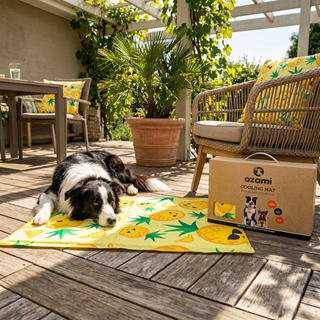 Ozami Cooling Mat Kjølematte - Pineapple