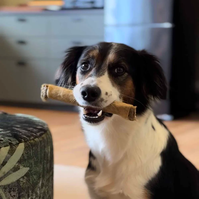 Ozami Heststick Medium Wrapped 20 cm