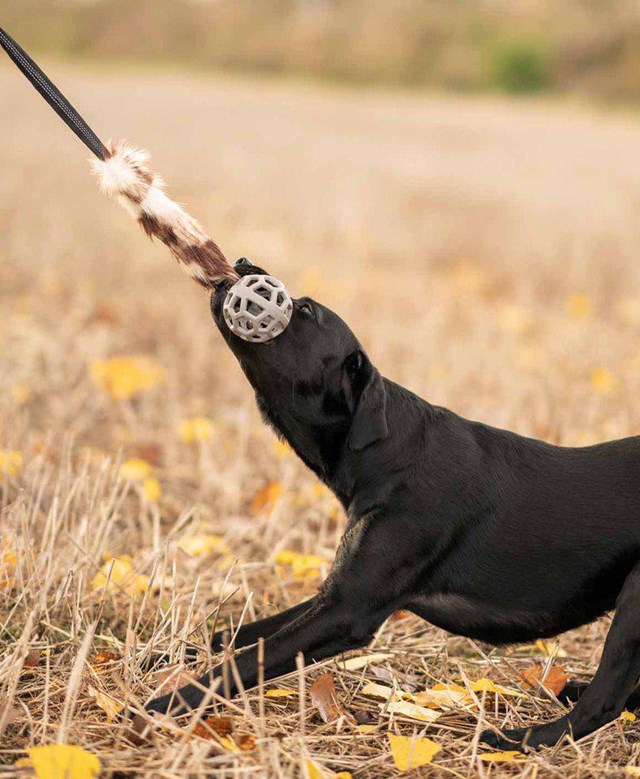 Play-n-tug kampleketøy med fuskpels og ball 65 cm