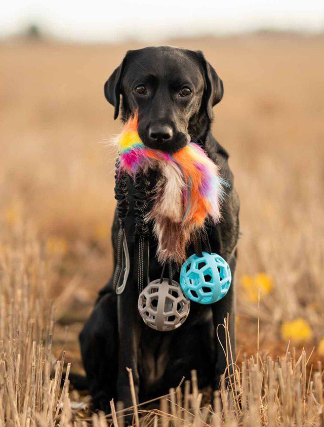 Play-n-tug kampleketøy med fuskpels og ball 65 cm