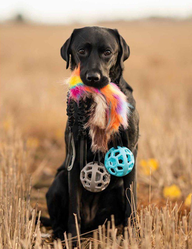 Play-n-tug Unicorn kampleketøy med fuskpels og ball 65 cm
