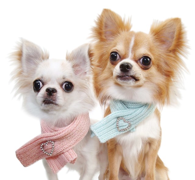 Crystal Heart Scarf Black Large