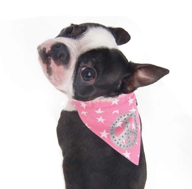 Peace Star Scarf Beige