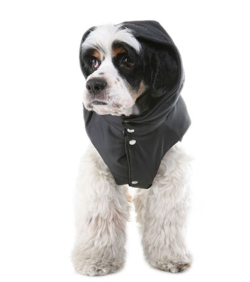 Urban Outdoor Hooded Padded Vest