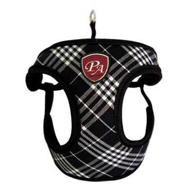 London Calling Fasteny Harness - Svart