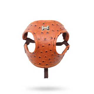 Pa Ostrich Fasteny Harness Brown