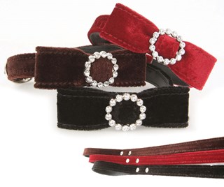 Tuxedo Halsbånd + Kobbel - Svart