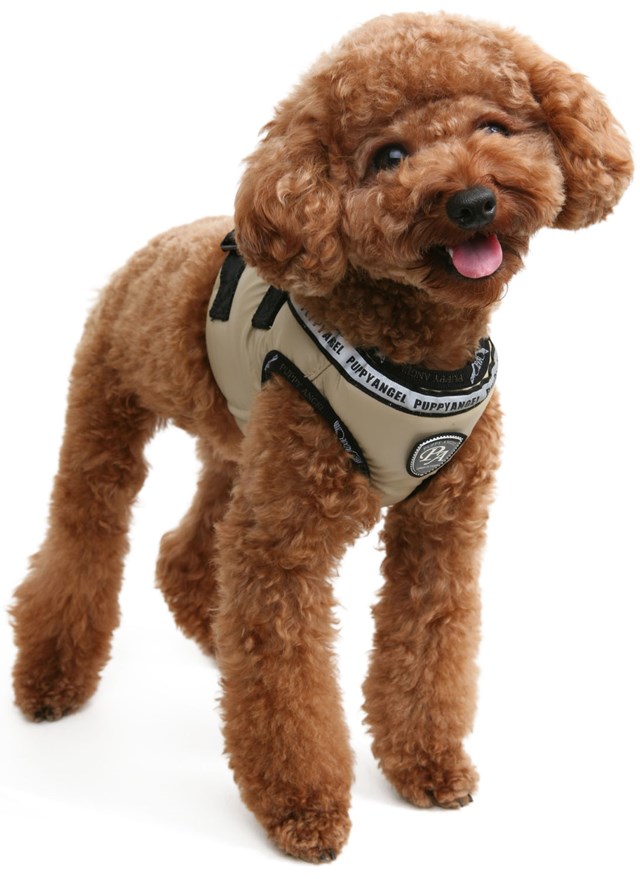 Out And About Sele - Mørkeblå