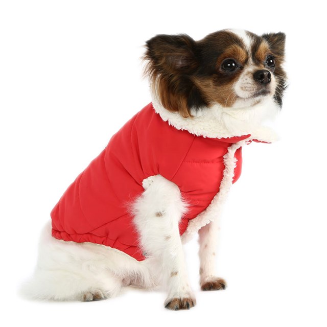 Love Bone Padded Vest - Rød