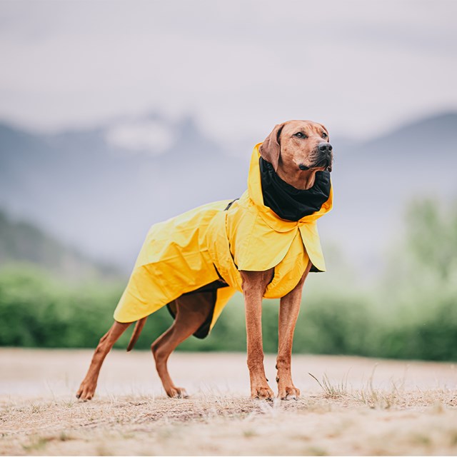 PAIKKA Visibility Raincoat Lite - Yellow