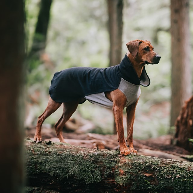 Recovery Winter Shirt Grey