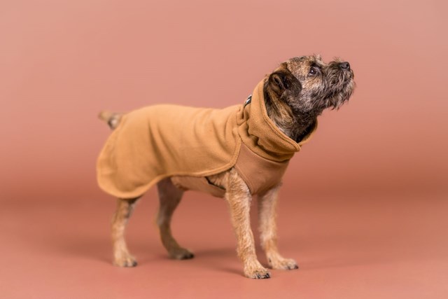 PAIKKA Seawool Shirt Brown