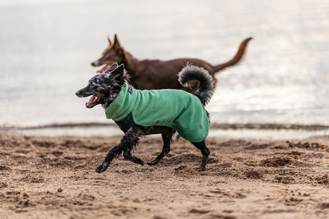 PAIKKA Seawool Shirt Green
